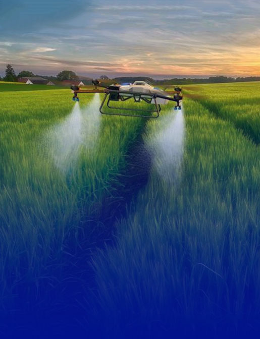 ũҵ��е��������